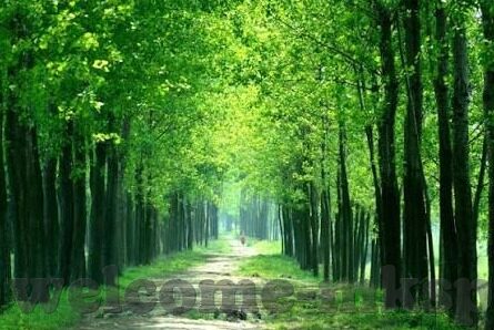 炸金花app哪个正规-寻找正规炸金花app，保障娱乐与安全的明智选择